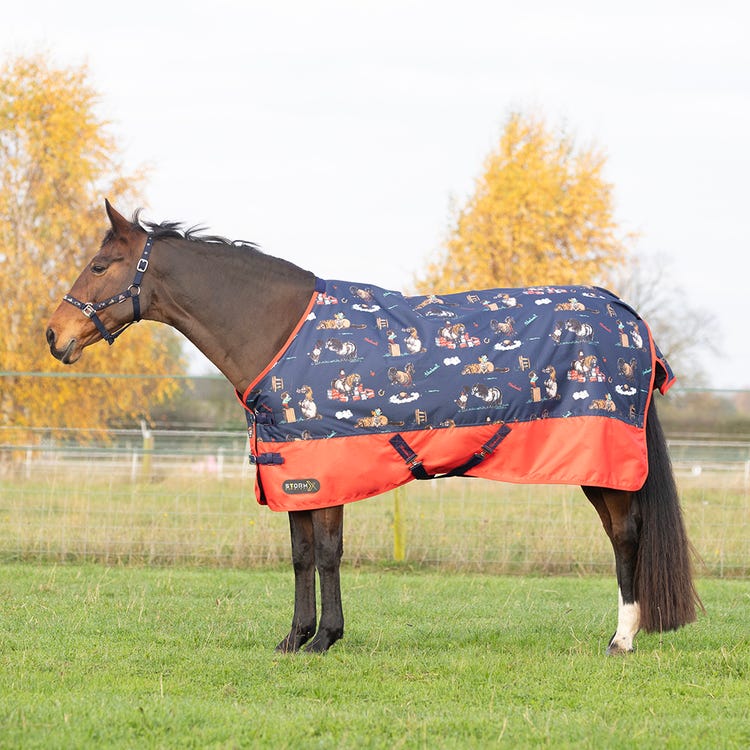 StormX Original 100 Turnout Rug - Thelwell Collection Practice Makes Perfect image 1